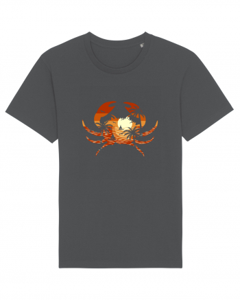 Summer Beach Crab Anthracite