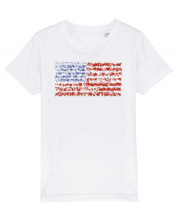 usa flag White