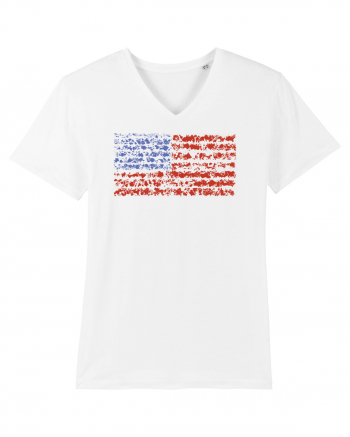 usa flag White