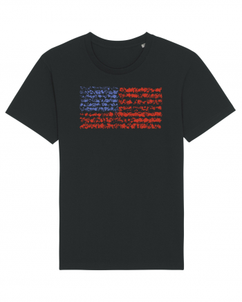 usa flag Black