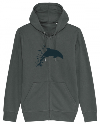 Dolphin Anthracite