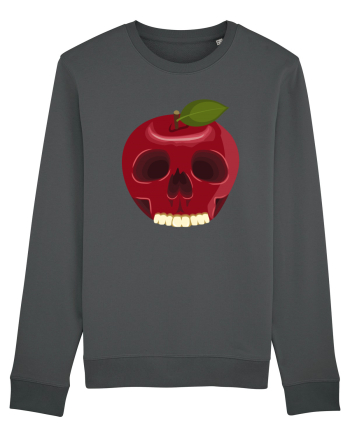 Skull Apple Anthracite