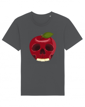 Skull Apple Anthracite