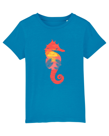 Sea Horse Beach Sunset Azur