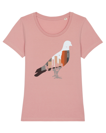 Street Pigeon Canyon Pink