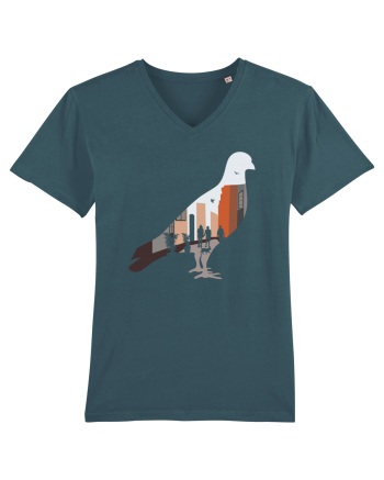Street Pigeon Stargazer