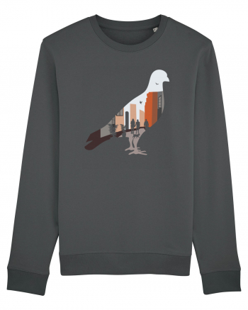 Street Pigeon Anthracite