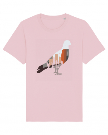Street Pigeon Cotton Pink