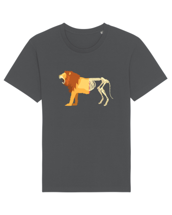 Lion Life Death Anthracite