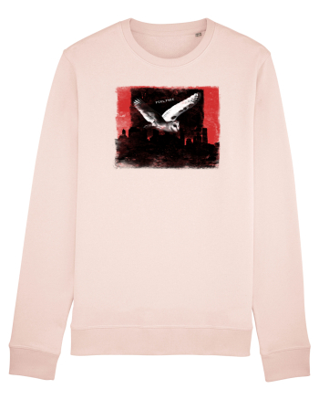 owl flying over the city, feel free Candy Pink
