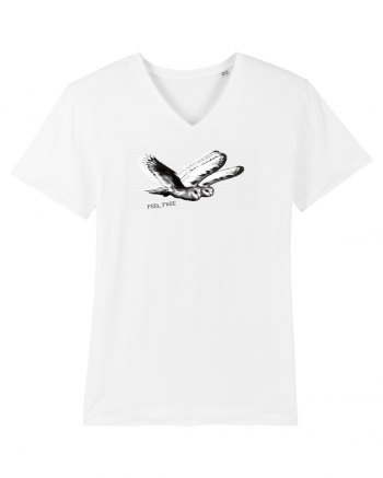 flying owls White