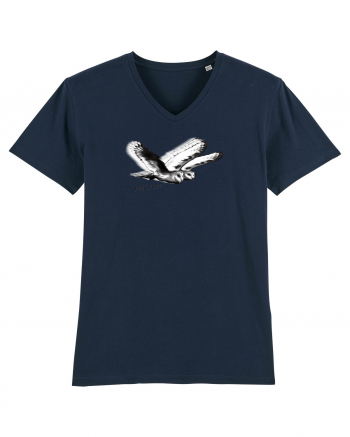 flying owls French Navy