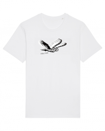 flying owls White