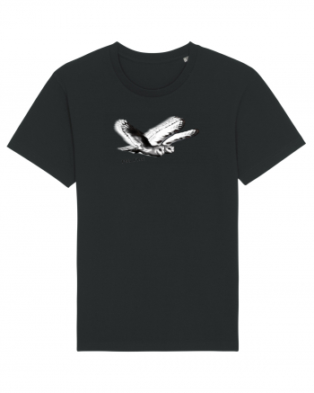 flying owls Black