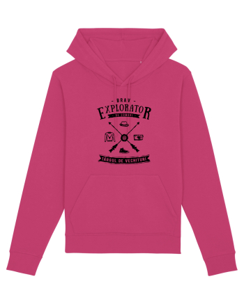 Explorator de Comori la Târgul de Vechituri Raspberry