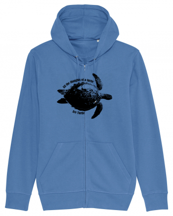 Turtle Talk  Bright Blue