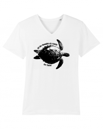 Turtle Talk  White