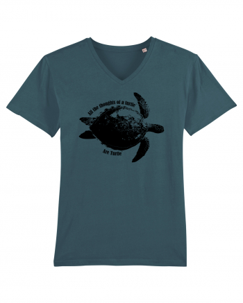 Turtle Talk  Stargazer