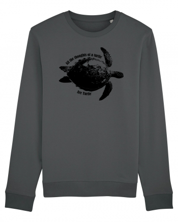 Turtle Talk  Anthracite