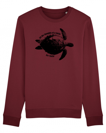 Turtle Talk  Burgundy