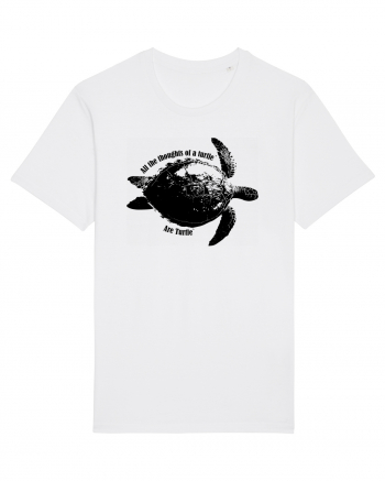 Turtle Talk  White