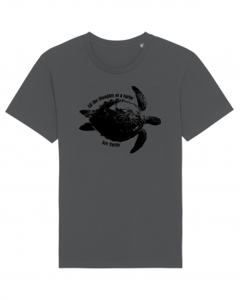 Turtle Talk  Anthracite