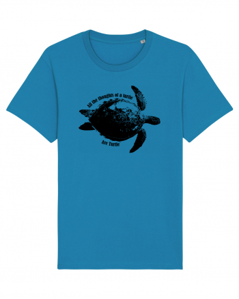 Turtle Talk  Azur