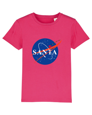 NASA Logo with SANTA claus sleigh and rockets Raspberry