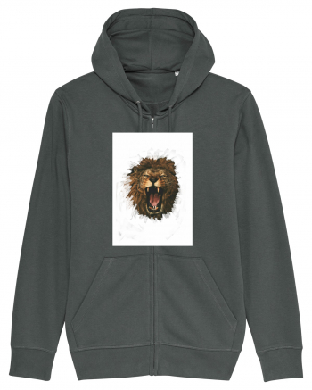 Furious lion Anthracite