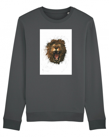 Furious lion Anthracite