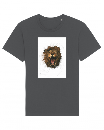 Furious lion Anthracite