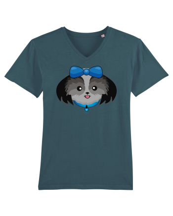 Cute dog  Stargazer