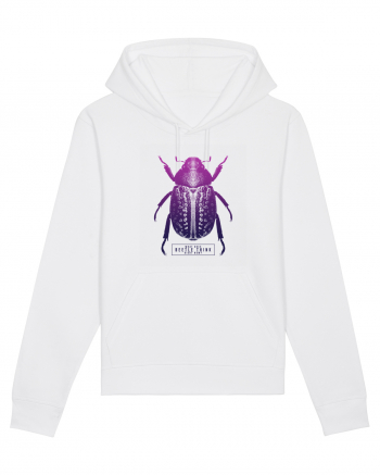 What does beetle think right now? White