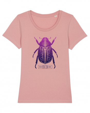 What does beetle think right now? Canyon Pink