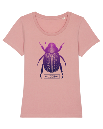 What does beetle think right now? Canyon Pink