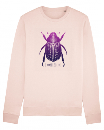 What does beetle think right now? Candy Pink