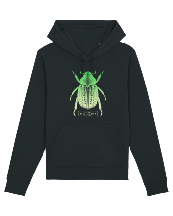 What does beetle think right now? Black