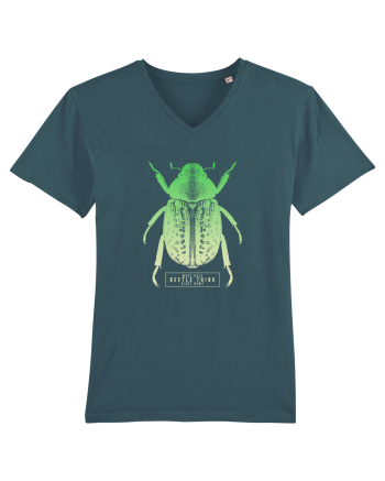What does beetle think right now? Stargazer
