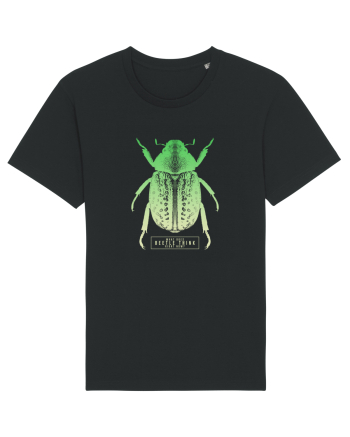 What does beetle think right now? Black