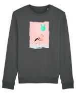 Flamingo Roz și Balonul Cactus  Bluză mânecă lungă Unisex Rise