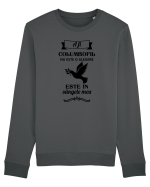A fi columbofil nu este o alegere Bluză mânecă lungă Unisex Rise