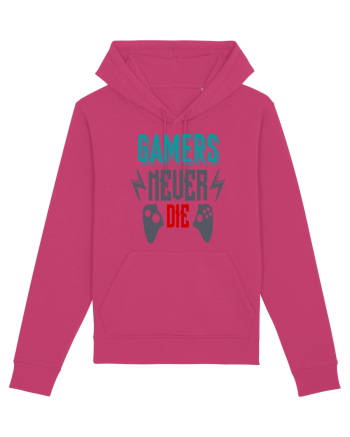 Gamers Never Die Raspberry