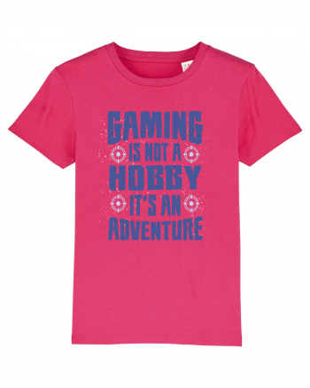 Gaming Is An Adventure Raspberry
