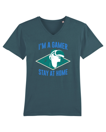 I'm A Gamer, Stay At Home Stargazer