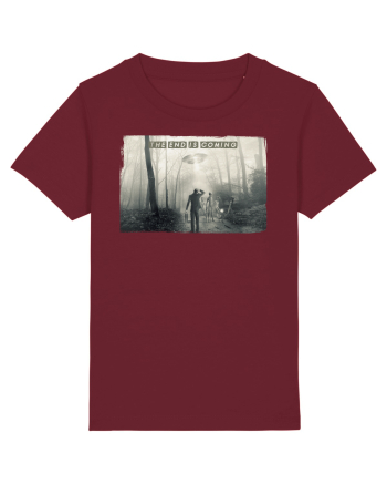alien abduction Burgundy