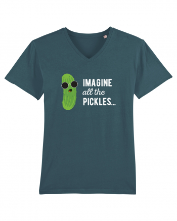 IMAGINE All The Pickels - Parodie Stargazer