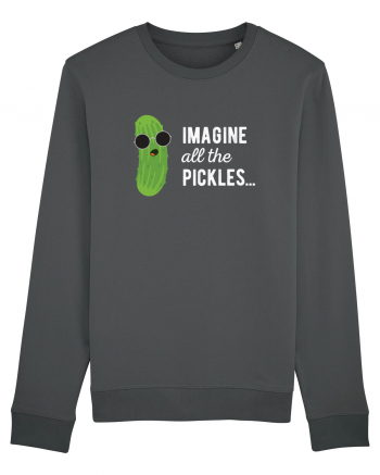 IMAGINE All The Pickels - Parodie Anthracite