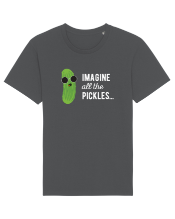 IMAGINE All The Pickels - Parodie Anthracite