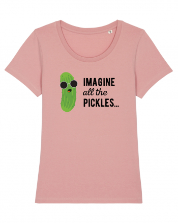 IMAGINE All The Pickels - Parodie Canyon Pink