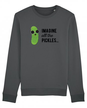 IMAGINE All The Pickels - Parodie Anthracite